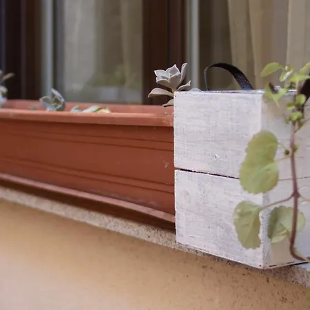 El Palomarcico Apartment *