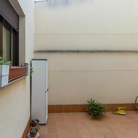 El Palomarcico * Zamora