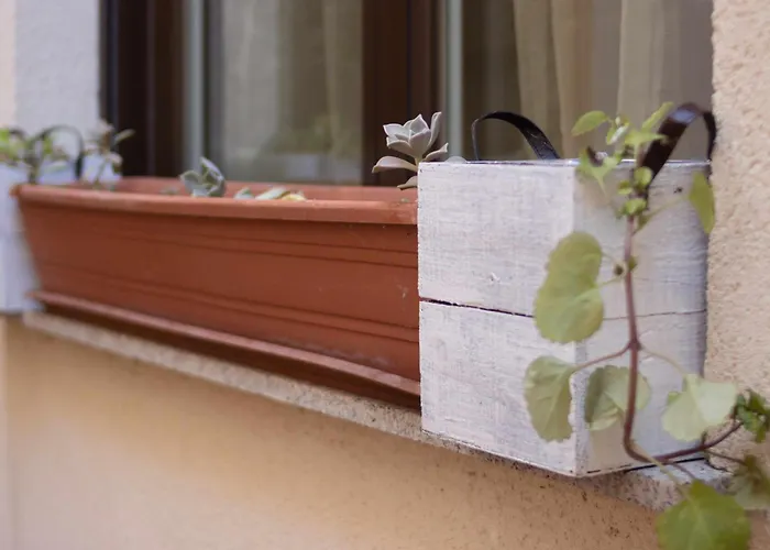 El Palomarcico 아파트 *