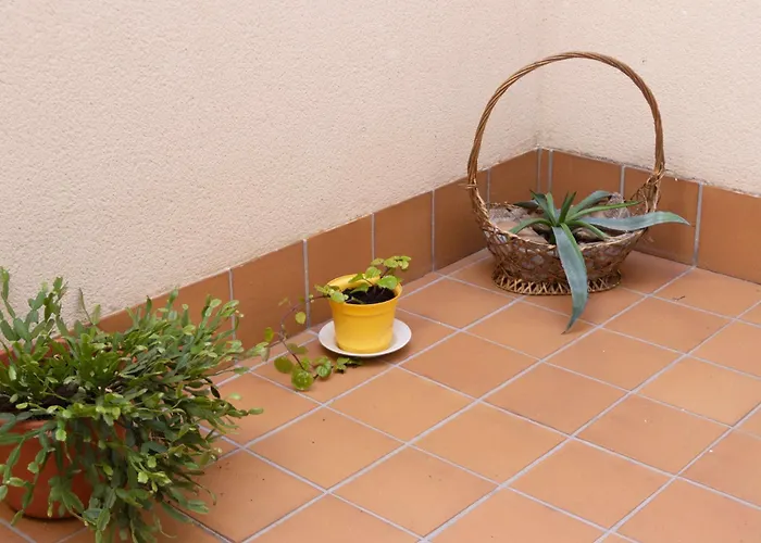 아파트 El Palomarcico 사모라