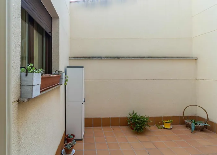 El Palomarcico * 사모라